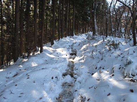 20161125hike (197)